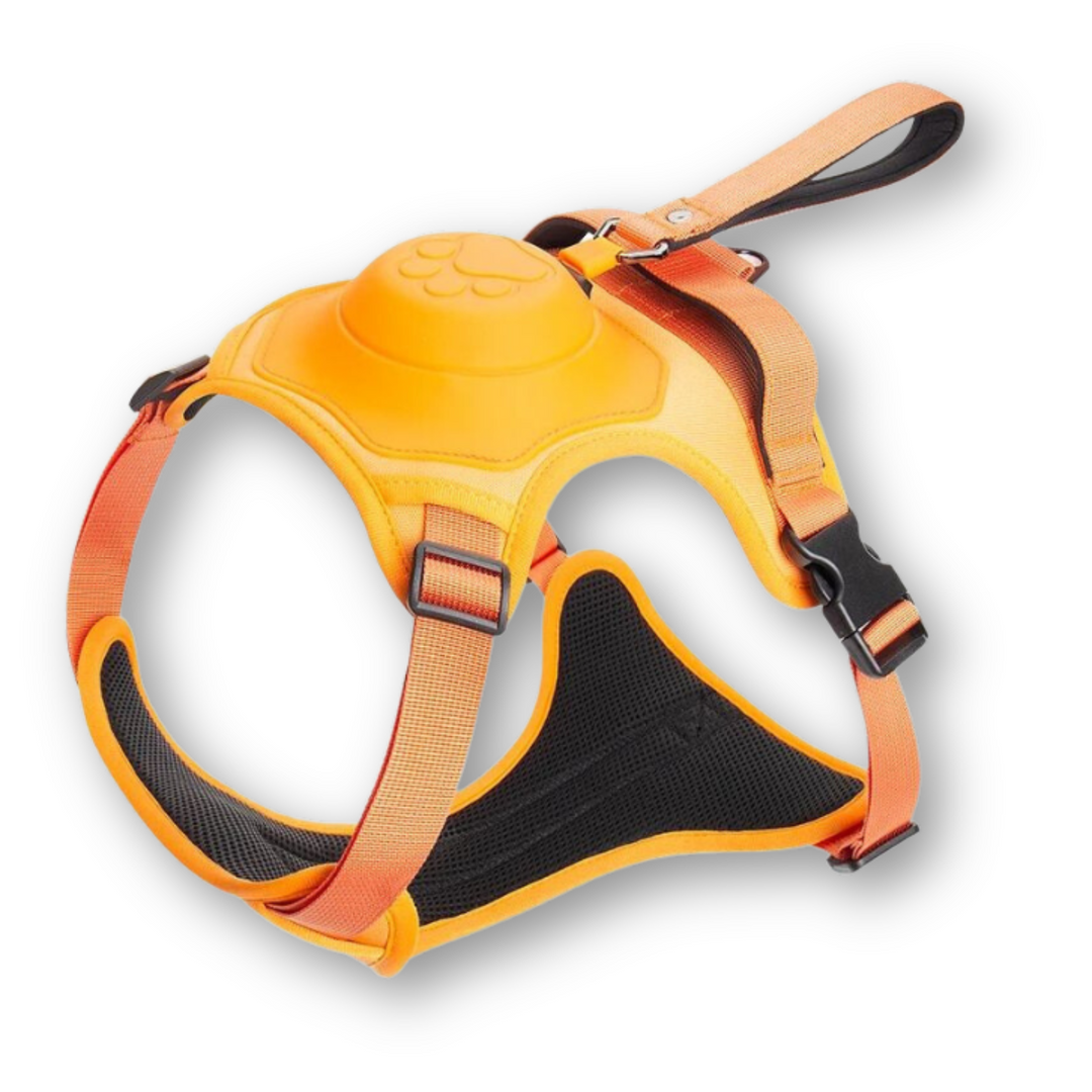 FlexiHarness – Komfortabel 2-i-1 Hundesele med Snor