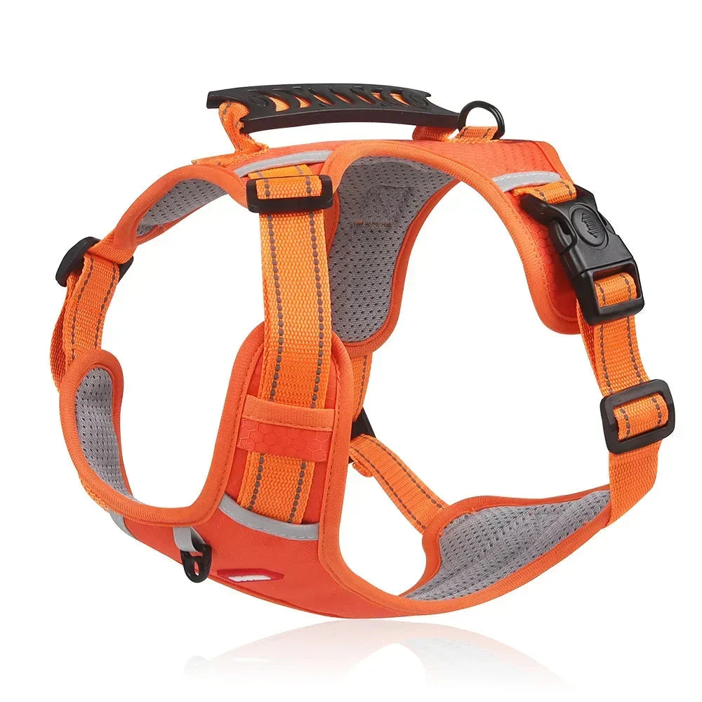 NoPull Hundesele – WalkEase