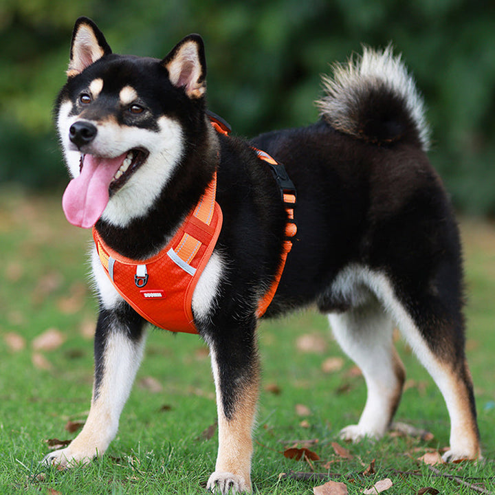Reflekterende Hundesele |