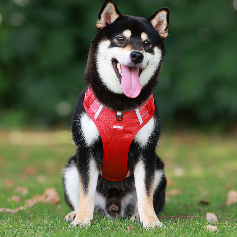 Reflekterende Hundesele |