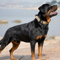 Taktisk Hundehalsbånd med Håndtag – GripMaster