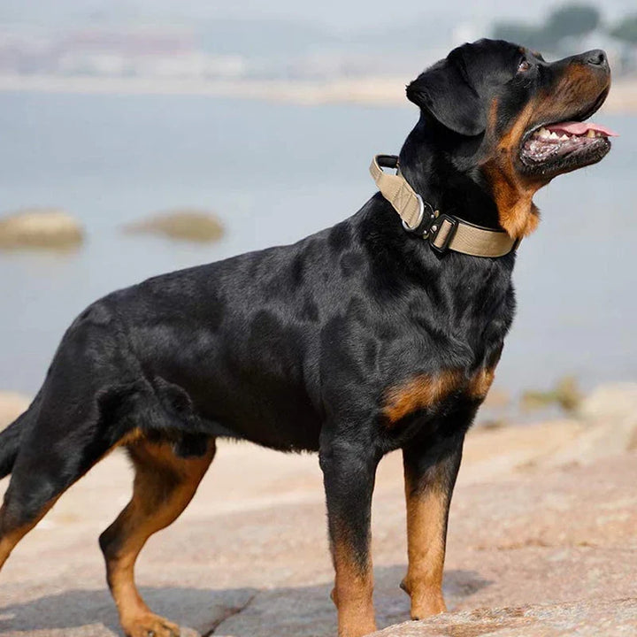 Taktisk Hundehalsbånd med Håndtag – GripMaster