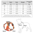 Ingen Træk Hundesele til Kæledyr