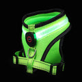 LED Hundesele USB genopladelig & justerbar