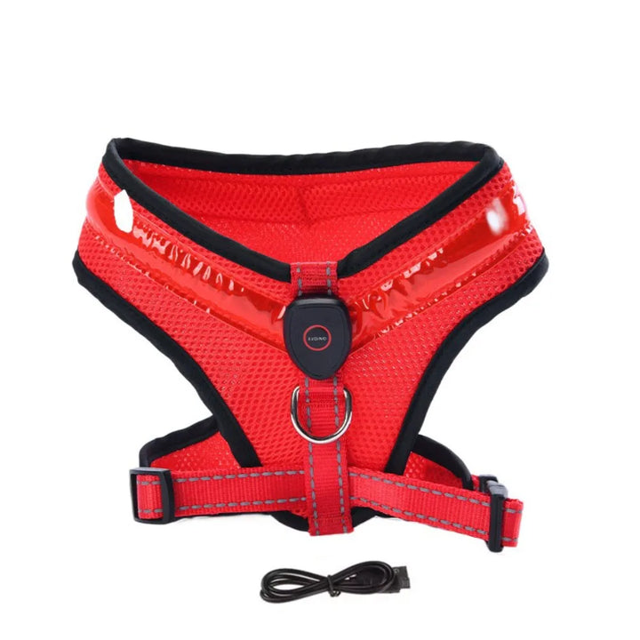 LED Hundesele USB genopladelig &amp; justerbar