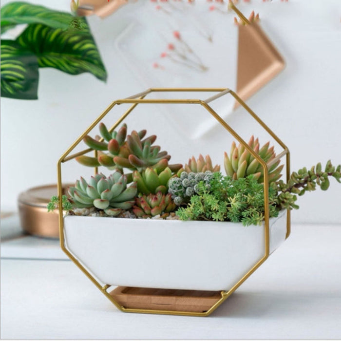 Simpel octagonal geometrisk vægmonteret bordplade til sukkulenter med bambusstøtte og jernramme (Guld)
