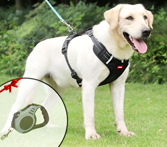 Anti-Trek Hundesele - FlexiFit