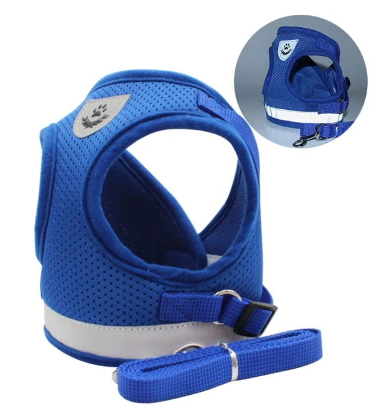 Kattesele med Snor - AdventureKit