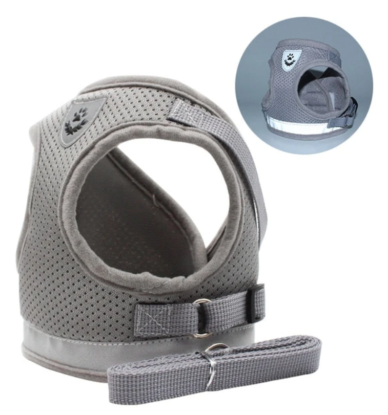 Kattesele med Snor - AdventureKit