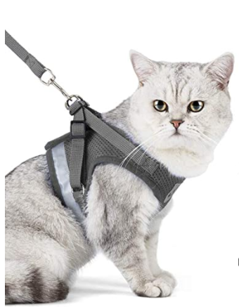 Kattesele med Snor - AdventureKit