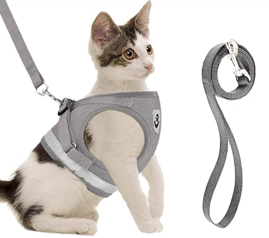 Kattesele med Snor - AdventureKit