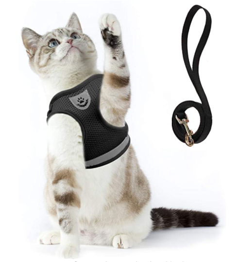 Kattesele med Snor - AdventureKit