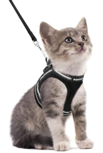 Kattesele med Snor - AdventureKit
