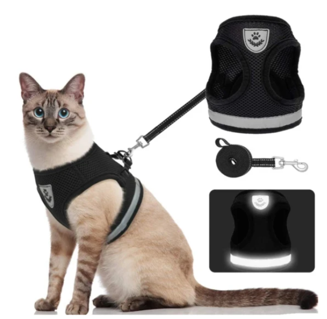 Kattesele med Snor - AdventureKit