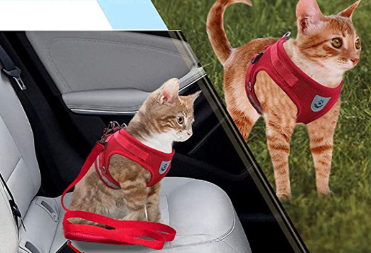 Kattesele med Snor - AdventureKit