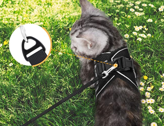 Kattesele med Snor - AdventureKit