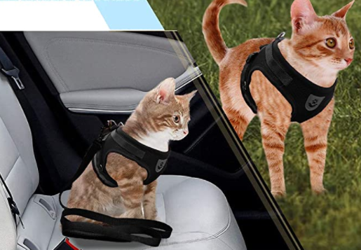 Kattesele med Snor - AdventureKit