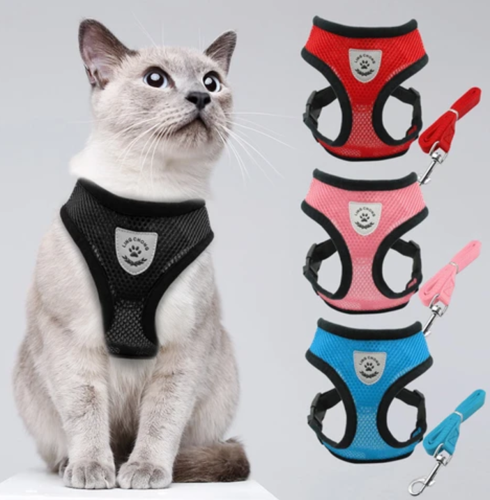 Kattesele med Snor - AdventureKit