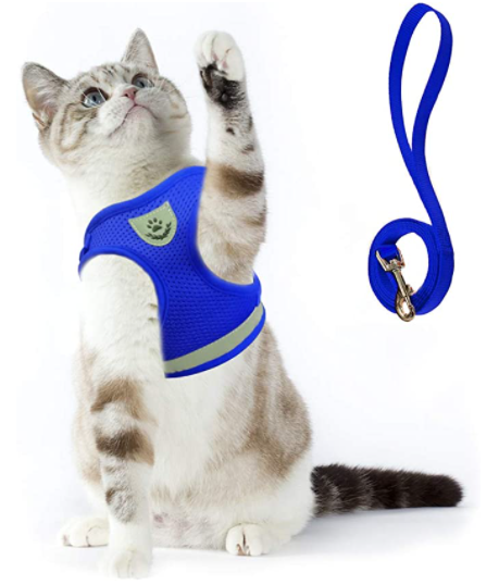 Kattesele med Snor - AdventureKit