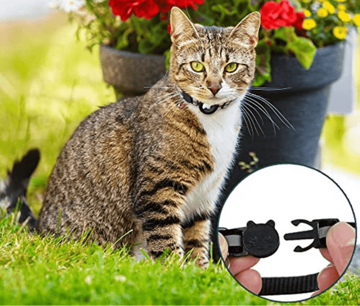 FELITRACK – GPS Tracker Halsbånd til Kat med Reflekterende Design
