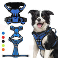 FlexHarness  •  Ingen Træk Hundesele