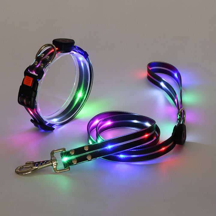 Lysende LED Hundehalsbånd med Snor - NightBright