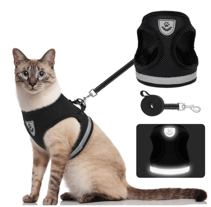 ADVENTURE HARNESS – Flugt-sikker katte sele med snor & reflekterende elementer