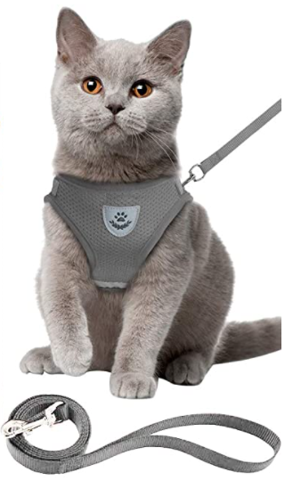 AdventureKit - Sikker sele til eventyrlystne katte