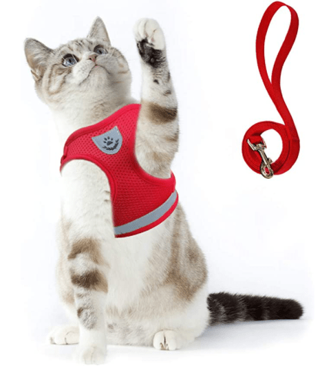 ADVENTURE HARNESS – Flugt-sikker katte sele med snor &amp; reflekterende elementer