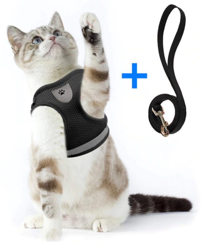 AdventureKit - Sikker sele til eventyrlystne katte