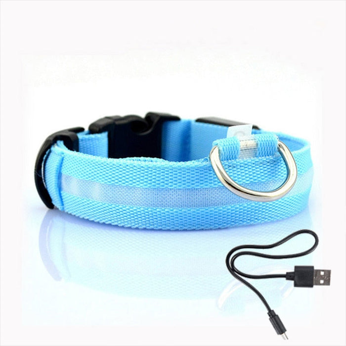 LED Hundehalsbånd - GlowCollar