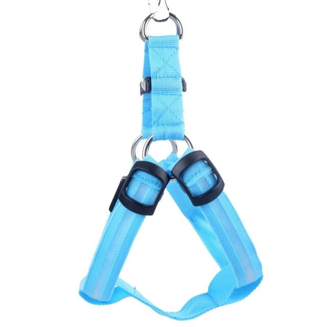 LED Hundesele - Glow&Go