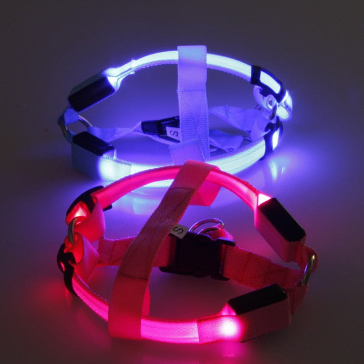 LED Hundesele - Glow&amp;Go