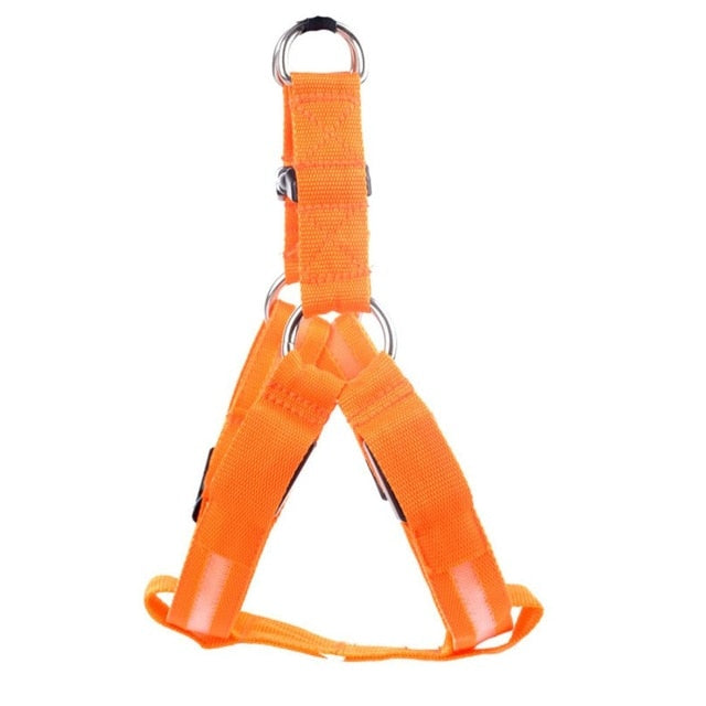 LED Hundesele - Glow&amp;Go