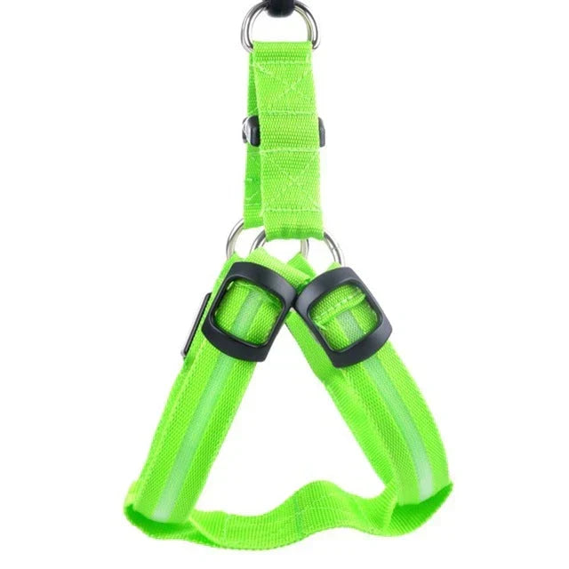 GlowSafe LED Hundesele