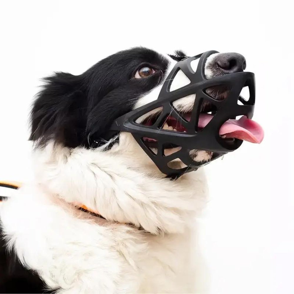 SafeBark • Hundebid