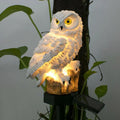 Solcelledrevet Uglehave Lampe - OwlGlow