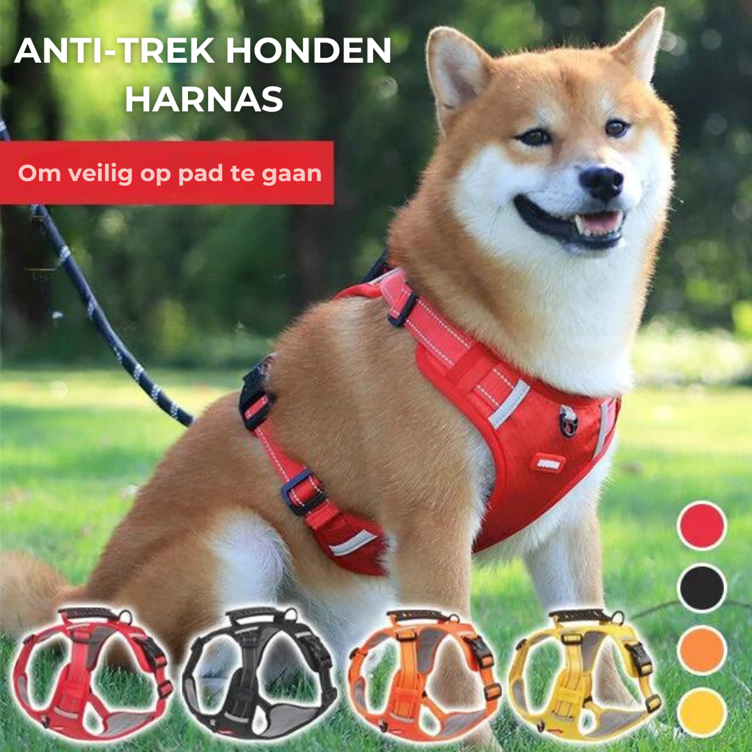 Robust &amp; Komfortabel Hundesele - ActivePup™